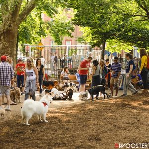 Seger Dog Park on Yelp