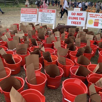 Battleview Orchards - Buckets for apple picking - Pick Your Own Farms Near Me - Freehold, New Jersey