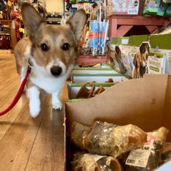 Maddie Mae's Pet Pantry