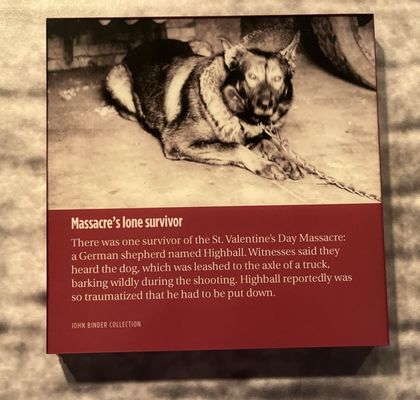 The Mob Museum by null