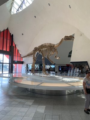 National Museum of Australia by null