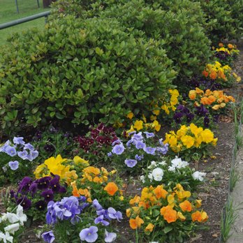 D&L Farm and Home - Celina - Nurseries & Gardening Near Me - Celina, Texas