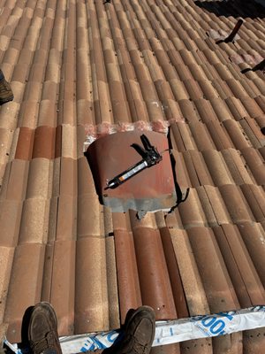 Dilligent Roofing