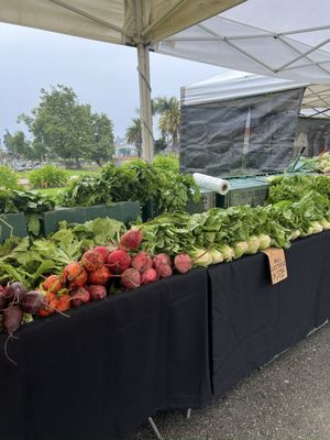 Ventura Farmers' Market (Downtown) by null