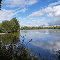 Etangs d'Apigné