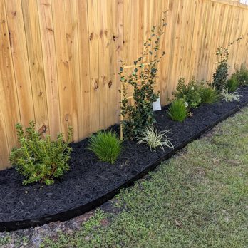The Botanical Brothers - a row of plants in front of a wooden fence - Landscaping Near Me