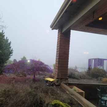 Garden View Restaurant - View of the garden in the morning from a booth. - New American Near Me - Silverton, Oregon Garden View Restaurant - View of the garden in the morning from a booth. - New American Near Me - Silverton, Oregon
