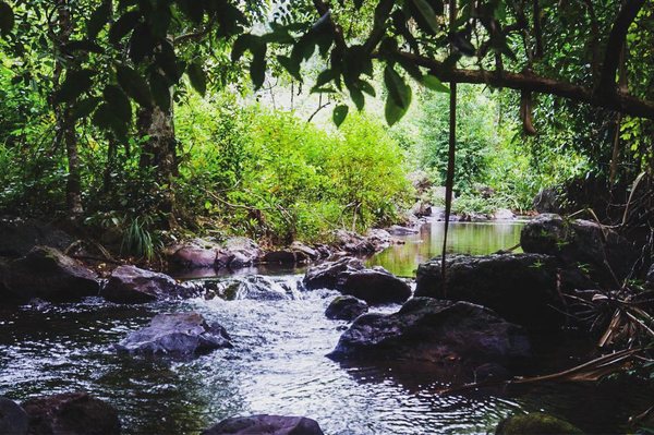 Nagkalit-kalit Waterfalls by null