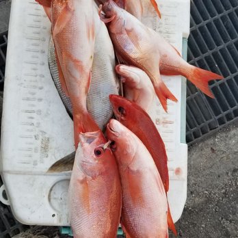Williams Party Boats - Vermilion snapper from a 36 hour tuna trip - Boating Near Me - Galveston, Texas