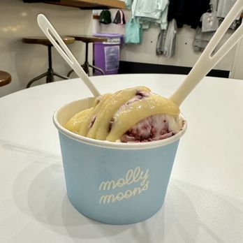 Molly Moon's Homemade Ice Cream - Ice Cream & Frozen Yogurt Near Me - Seattle, Washington Molly Moon's Homemade Ice Cream - Ice Cream & Frozen Yogurt Near Me - Seattle, Washington
