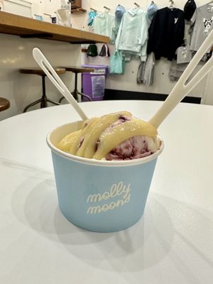 Molly Moon's Homemade Ice Cream Columbia City by null