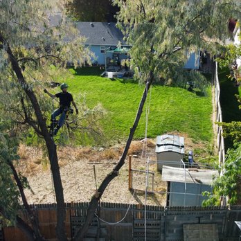 Westwood Arborists - Tree Services Near Me - Boise, Idaho Westwood Arborists - Tree Services Near Me - Boise, Idaho