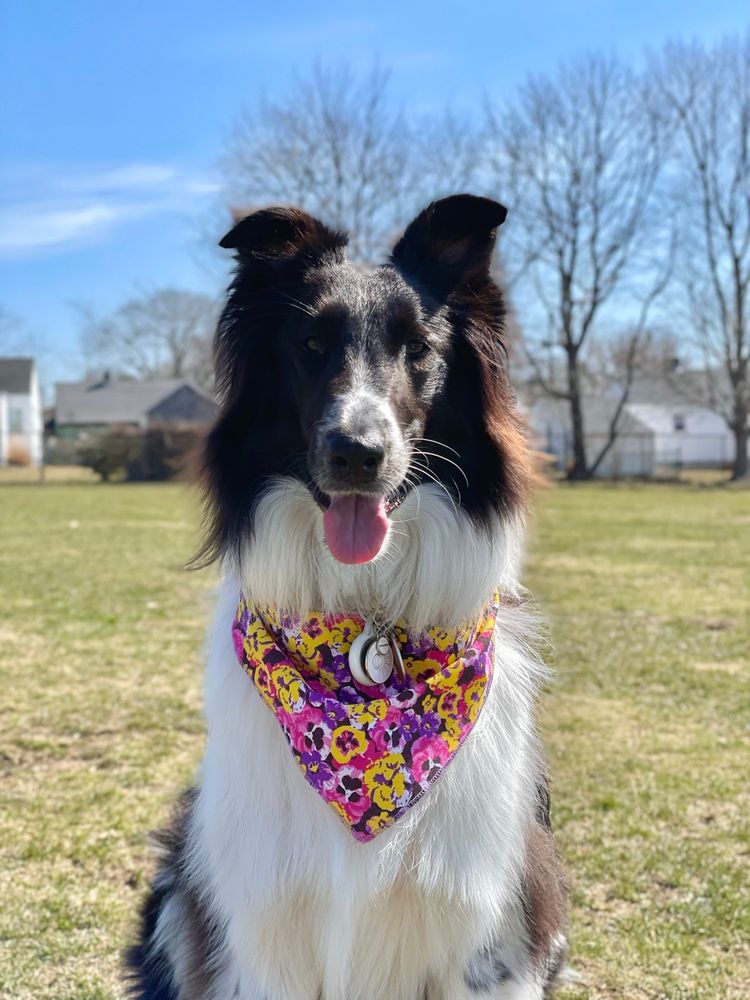 THE WIGGLE ROOM Updated June 2024 21 Photos & 12 Reviews 741 W