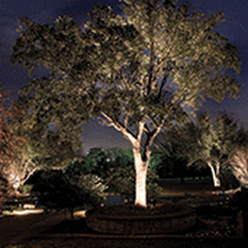 The Perfect Light - Lighting Fixtures & Equipment Near Me - Plano, Texas The Perfect Light - Lighting Fixtures & Equipment Near Me - Plano, Texas