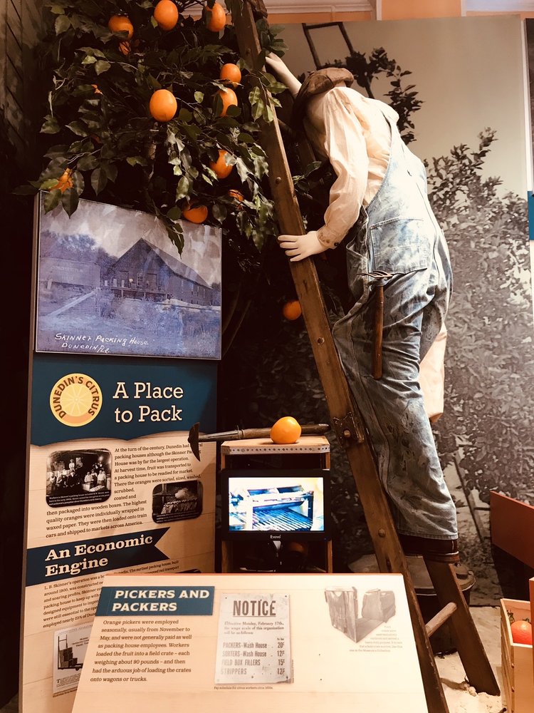 Dunedin History Museum, Dunedin Roadtrippers