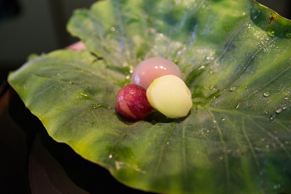 Kodaiji Wakuden by null