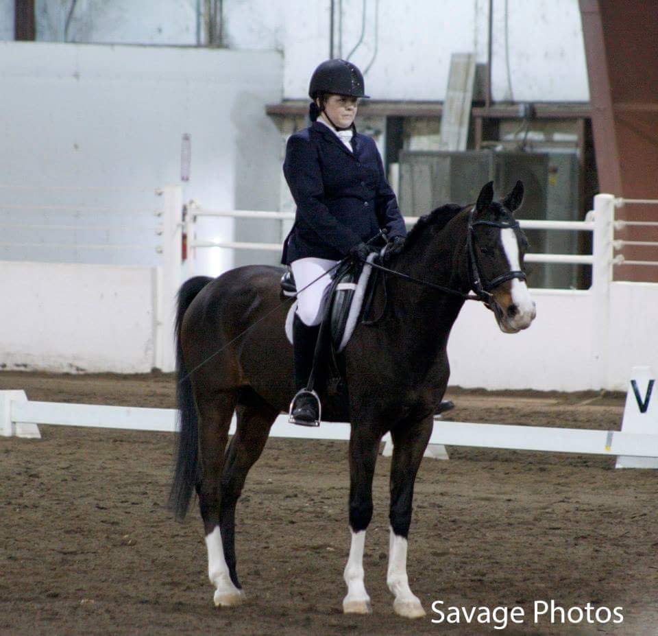 Arabian Woods Horse Farm - equestrian in Camp Point, IL