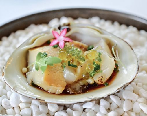 ZEST by Konishi by null