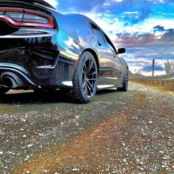 Babylon Auto Glass