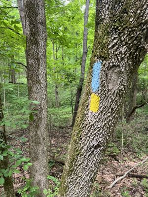 Caesar Creek State Park by null