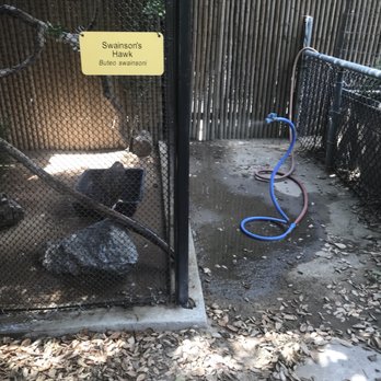 Orange County Zoo - Zoos Near Me - Orange, California