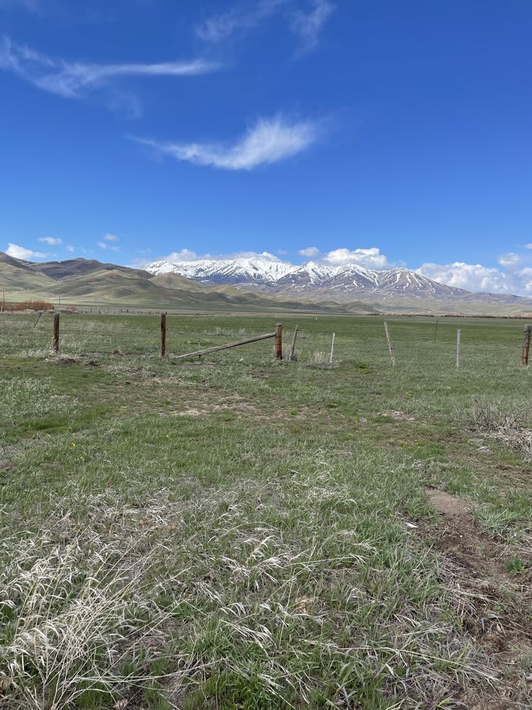 AMY MARTINSILVER CREEK REALTY GROUP Contact Agent 1099 S Wells St