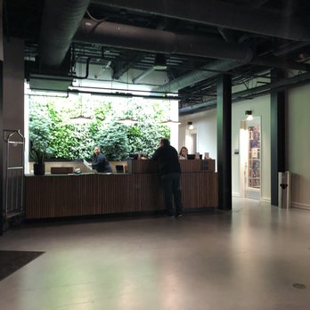 BentoLiving Chestnut Hill - View of the front desk from the lobby.  There is a wall of real plants behind the desk. - Apartments Near Me - Nashville, Tennessee