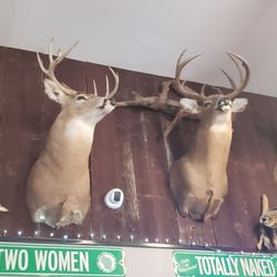 Cork Down Saloon