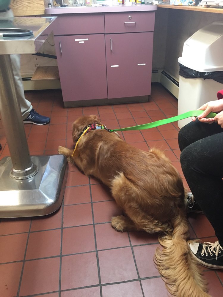 RICHLAND VETERINARY HOSPITAL Updated August 2024 1003 Eisenhower