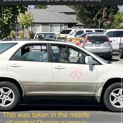 Cheryl's Doggy Den Daycare & Walking Service - Evidence -- she's in the wrong. Don't leave your fur babies with her. (Heatwave in ALL OF OR 8/14/2023-8/16/2023)