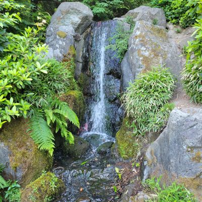 Kubota Garden by null