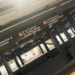 The D Train