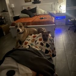 Ideal Massage