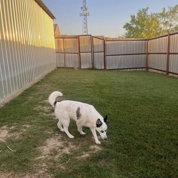 Ferrell's Pet Bed & Breakfast - Pet Boarding Near Me - Royse City, Texas Ferrell's Pet Bed & Breakfast - Pet Boarding Near Me - Royse City, Texas