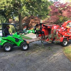 Monster Tree Service of South Charlotte