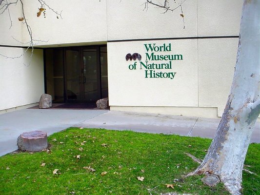 World Museum of Natural History by null