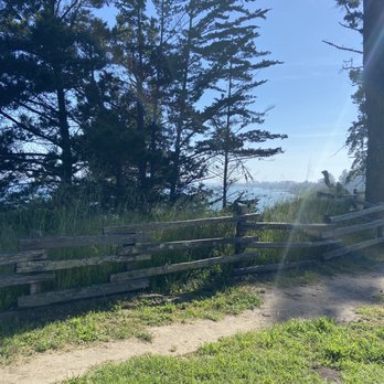 New Brighton Campground - Campgrounds Near Me - Aptos, California