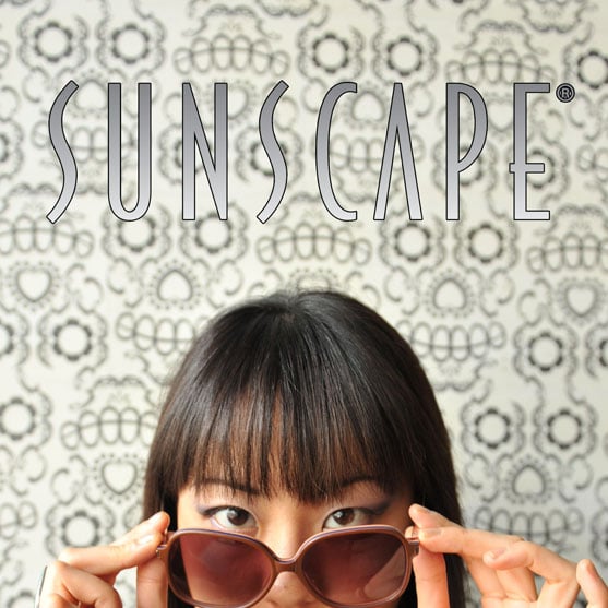 SUNSCAPE EYEWEAR INC Updated October 2024 17526 Von Karman Ave