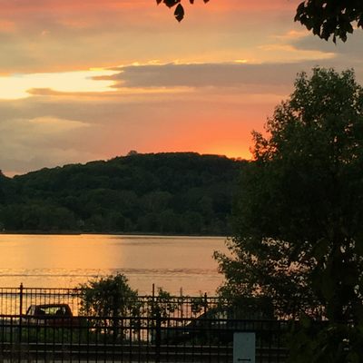 Photo of China Rose - Rhinecliff, NY, US.