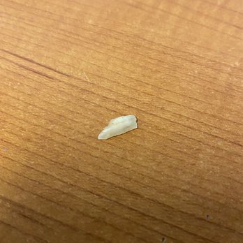 Montoya's - Today my Carne Asada Burrito was hard & I bit into this foreign object that almost cracked my tooth - Mexican Near Me - Wilmington, California Montoya's - Today my Carne Asada Burrito was hard & I bit into this foreign object that almost cracked my tooth - Mexican Near Me - Wilmington, California