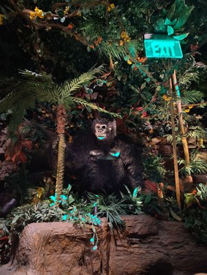 Rainforest Cafe by null