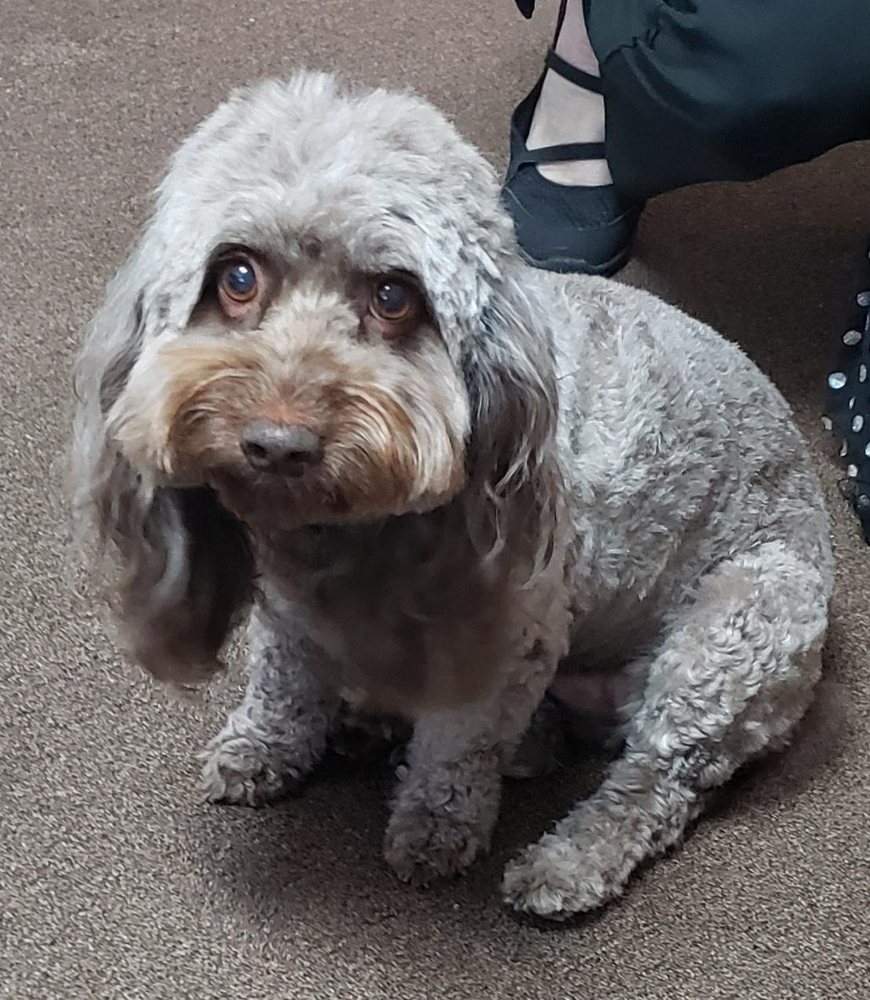 Thunderbolt Counseling - grief counselor in Savannah, GA