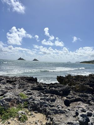 Kailua Beach Adventures by null