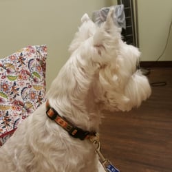 East Atlanta Animal Clinic