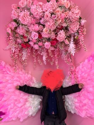 Sweet Cats Union Square by null