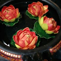 Annalakshmi - Decor