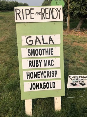 Beilke Family Farm by null