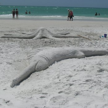 Siesta Key Beach - undefined - Beaches Near Me - Sarasota, Florida Siesta Key Beach - undefined - Beaches Near Me - Sarasota, Florida