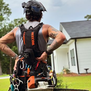 Everything Tree - Tree Services Near Me - Wilmington, North Carolina Everything Tree - Tree Services Near Me - Wilmington, North Carolina