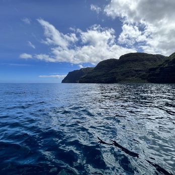 Blue Dolphin Charters - Boating Near Me - Eleele, Hawaii Blue Dolphin Charters - Boating Near Me - Eleele, Hawaii